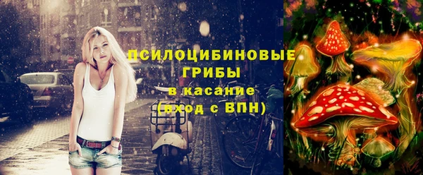 шишки Бугульма