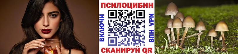 купить   Великие Луки  Галлюциногенные грибы MAGIC MUSHROOMS 