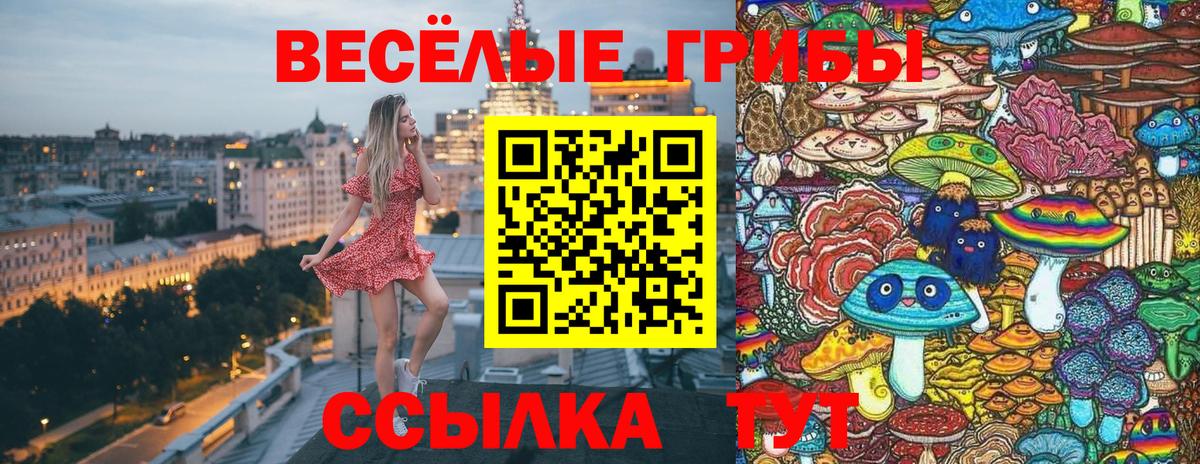 Галлюциногенные грибы GOLDEN TEACHER  Вход с VPN  Великие Луки 