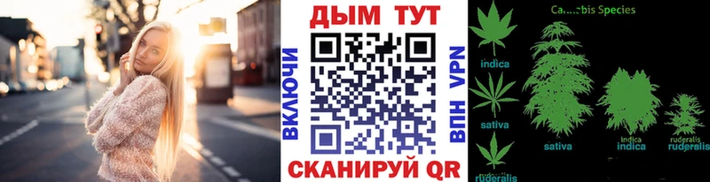где продают Великие Луки МАРИХУАНА ГИДРОПОН